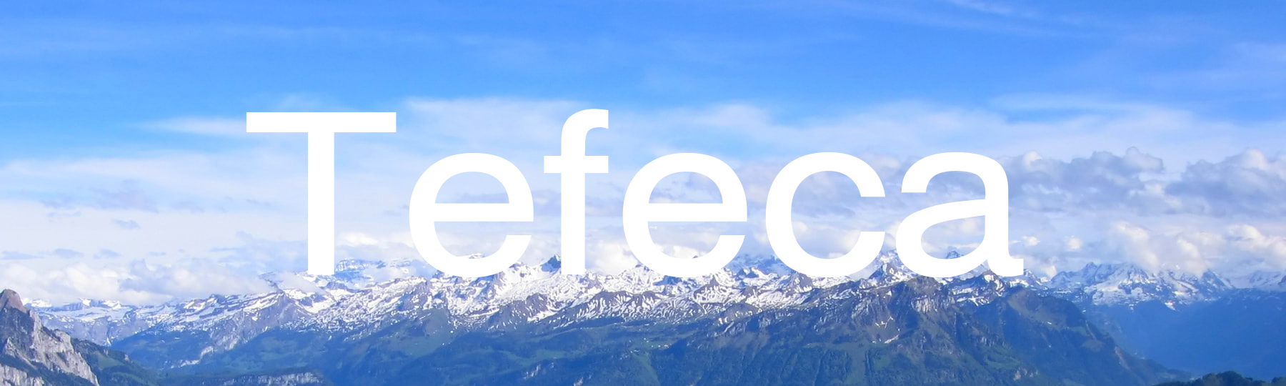 Tefeca Coupons and Promo Code