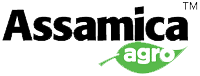 Assamica Agro Coupons and Promo Code