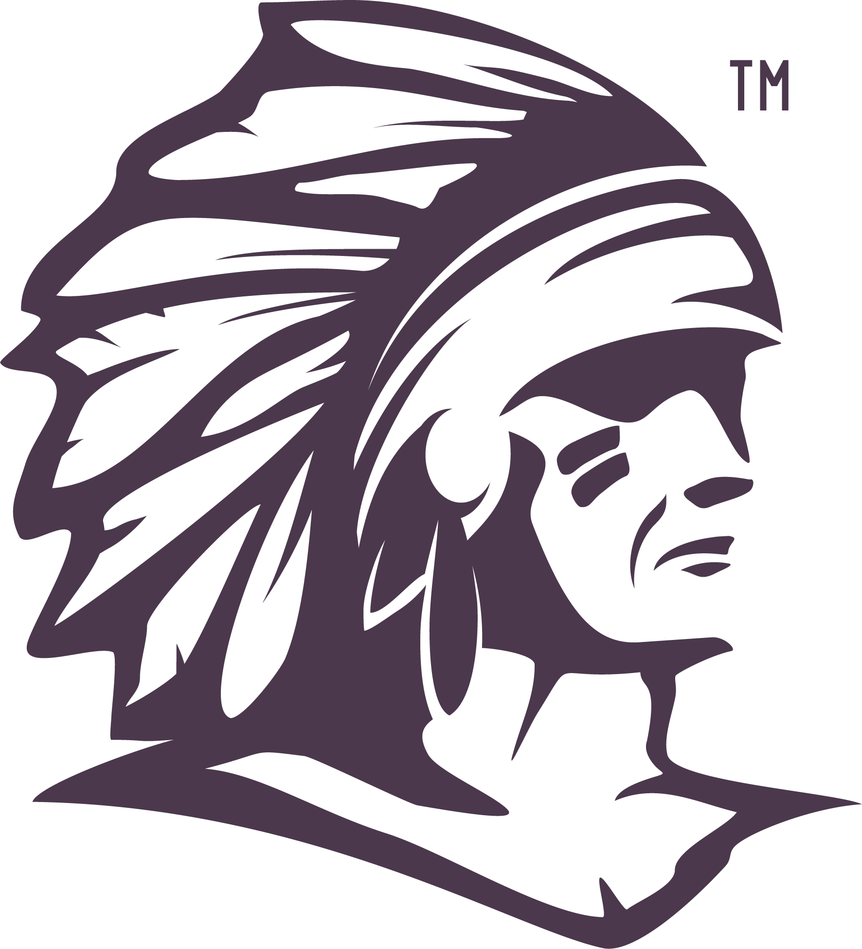 Chief Stix logo