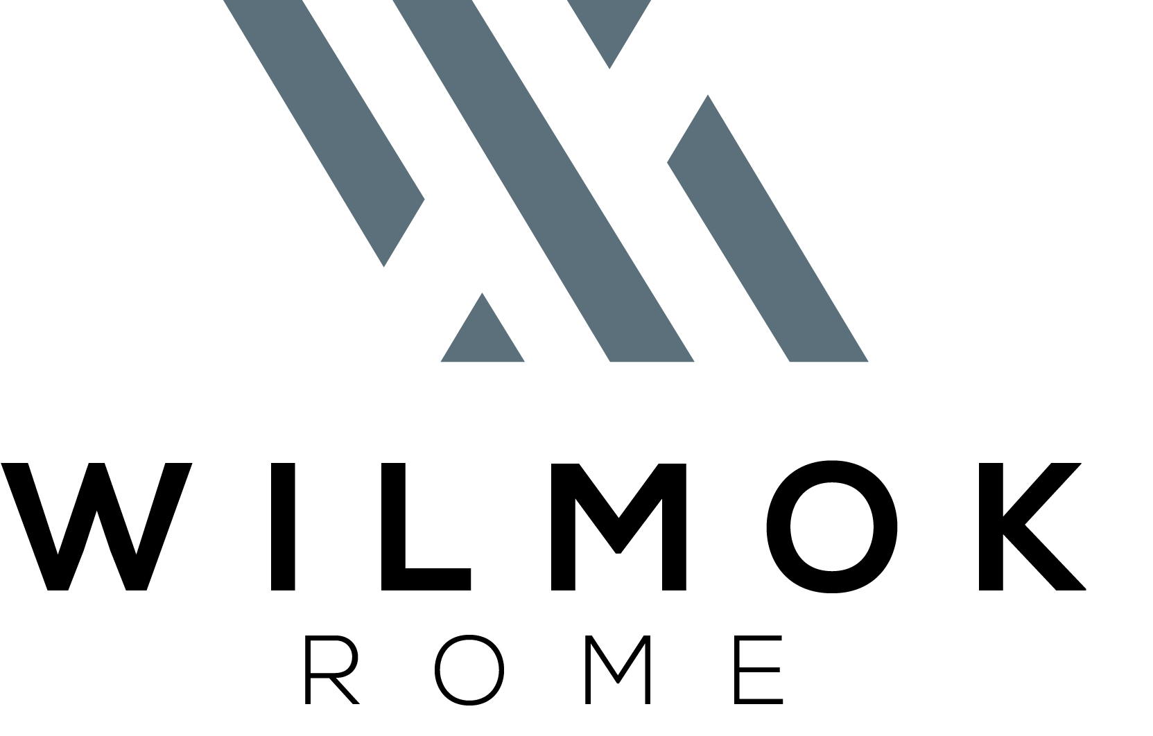 Wilmok logo
