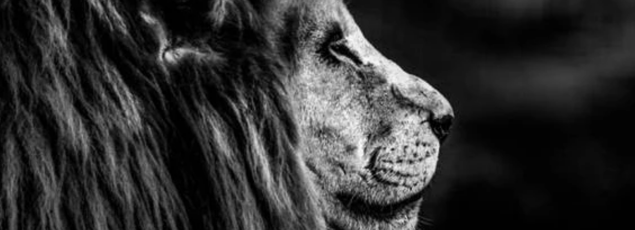 Mascot Perú - promo codes