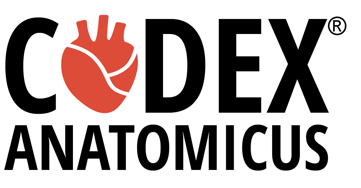 lote751vintage - promo codes