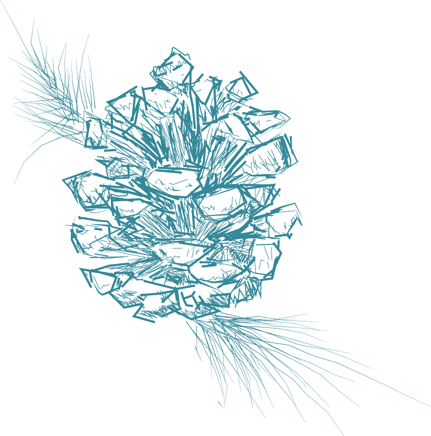 Authentic Pizza Ovens