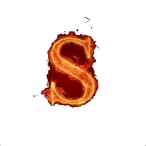 Style Is In logo