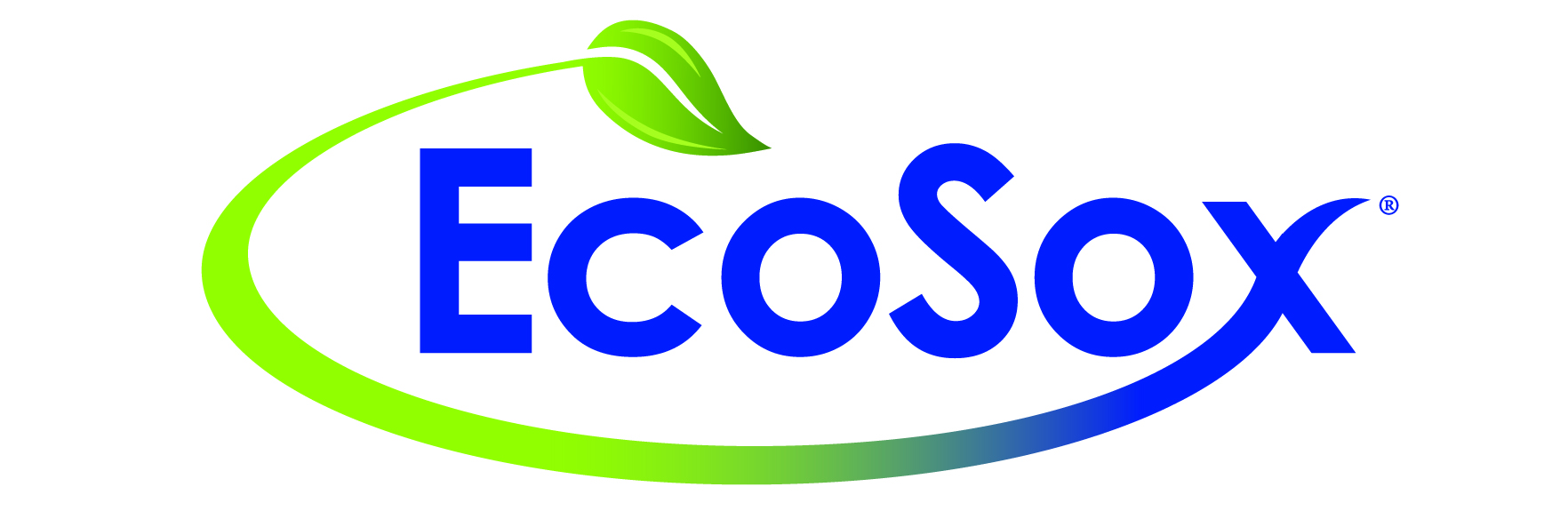 EcoSox logo