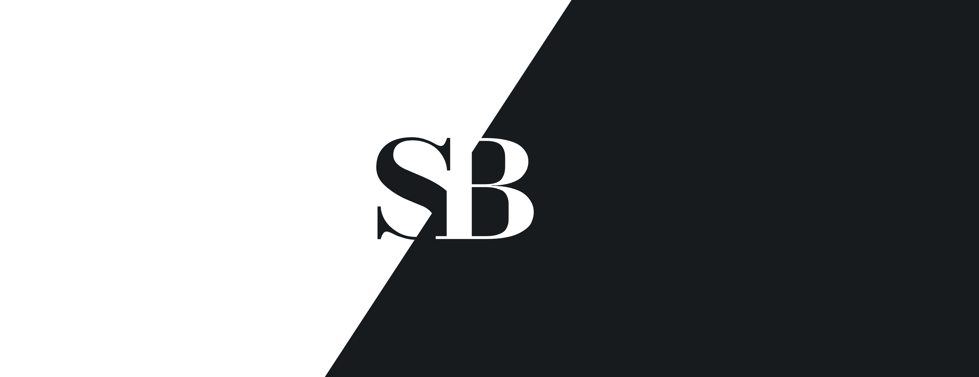 Stephone Bryan - Entrepreneur logo