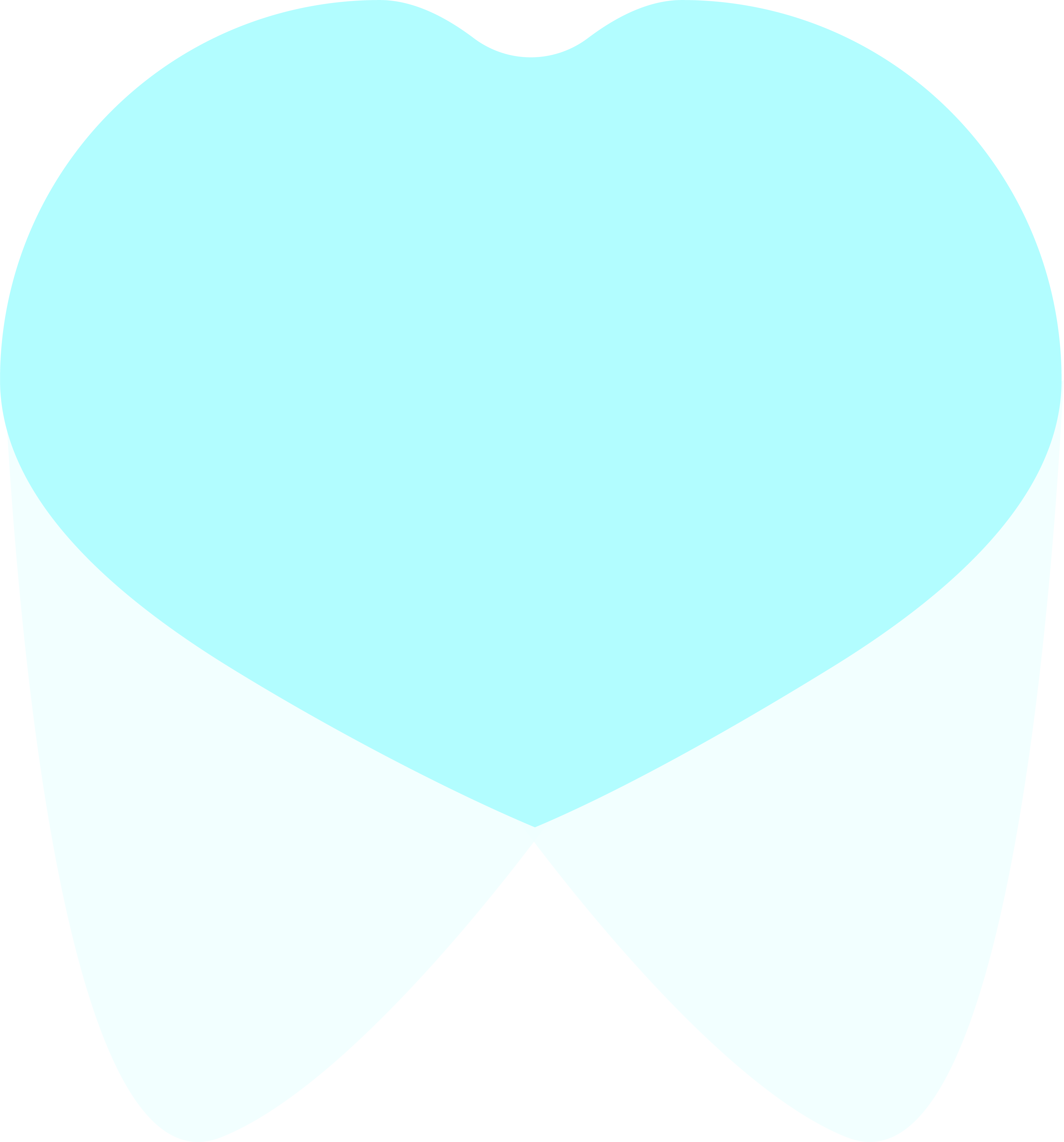 WiteTeet® logo