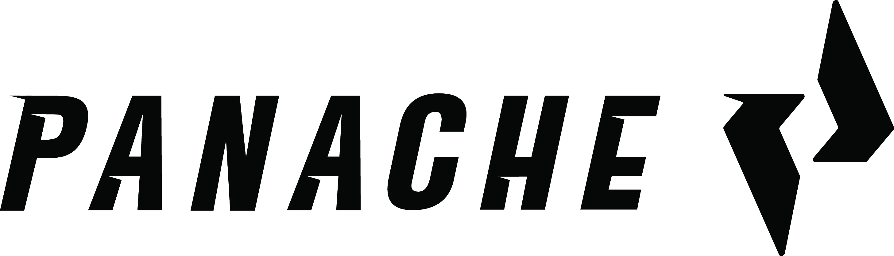 PANACHE logo