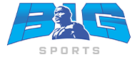 Big Sports Inc. logo