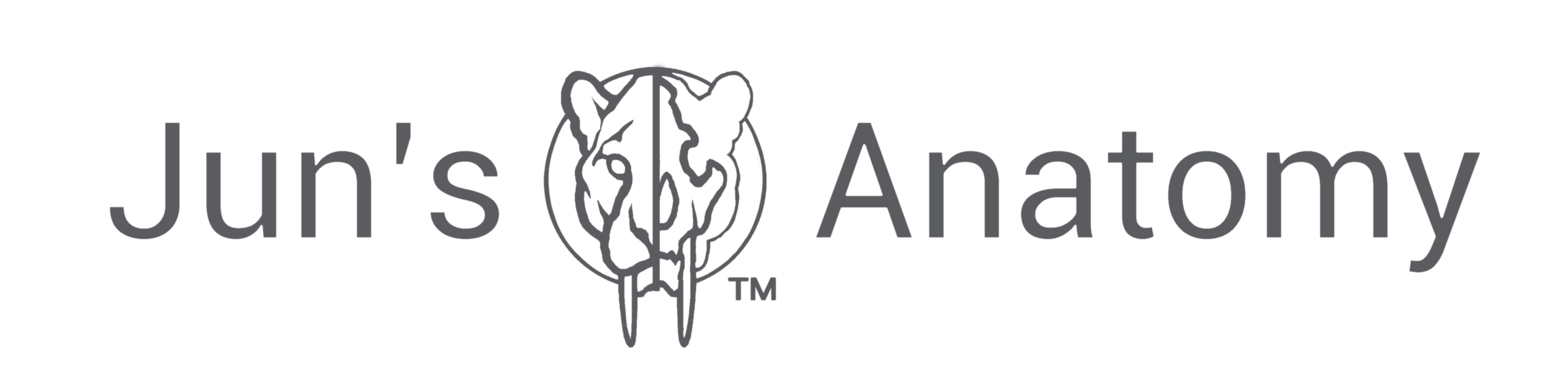 Jun's anatomy Coupons and Promo Code