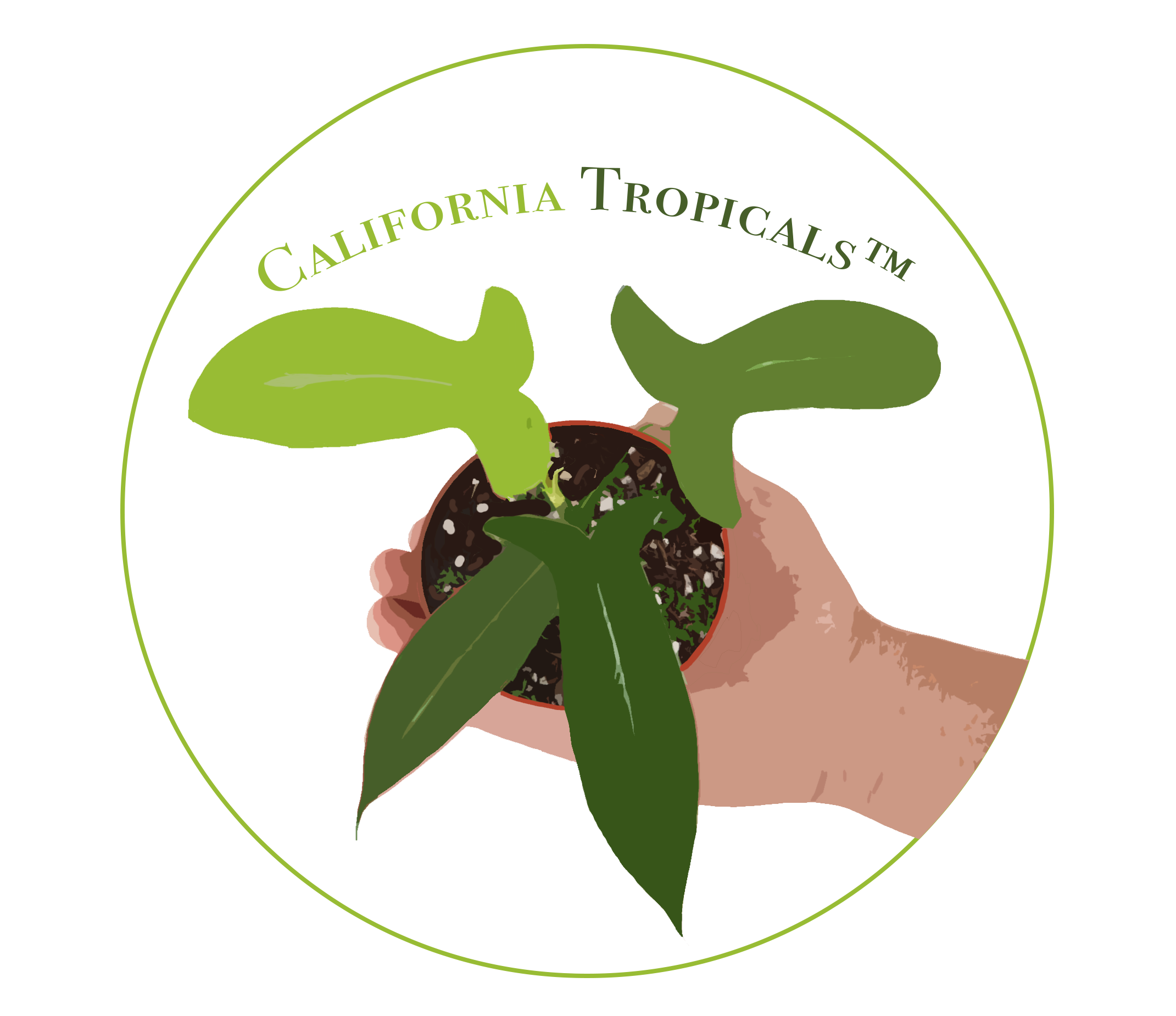 California Tropicals logo