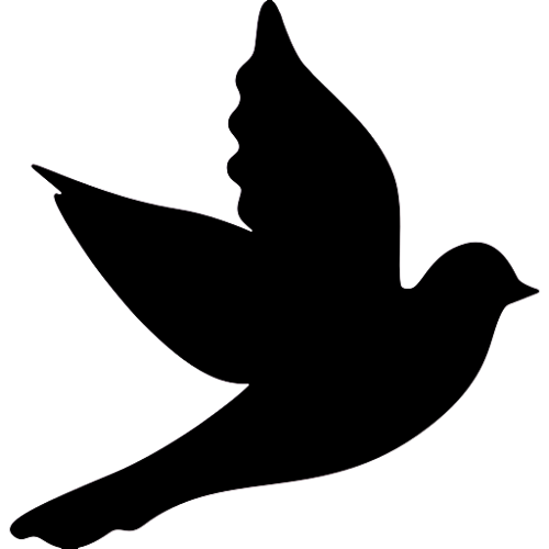 CIVO logo